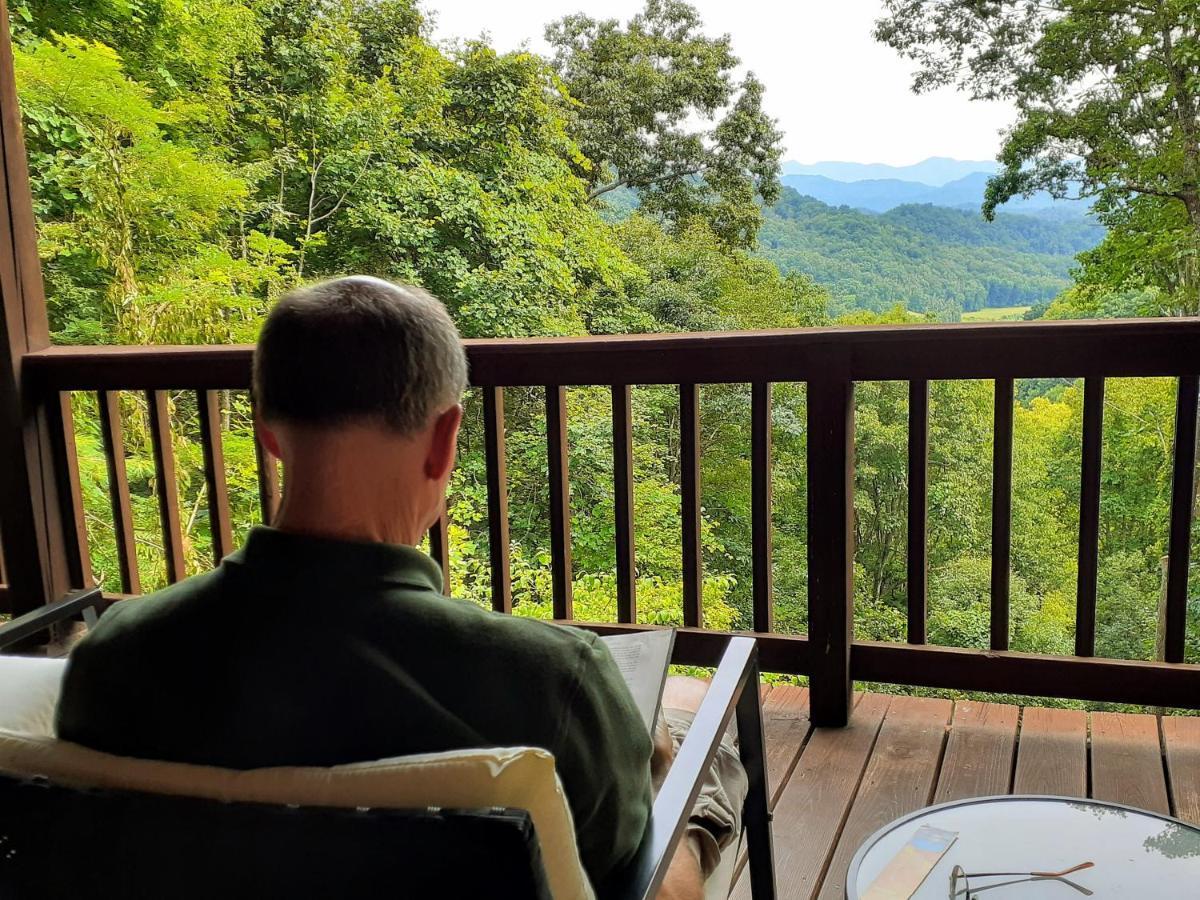 Treetops Cabin Easy To Asheville With Fast Wifi And Great View Swiss Exterior photo