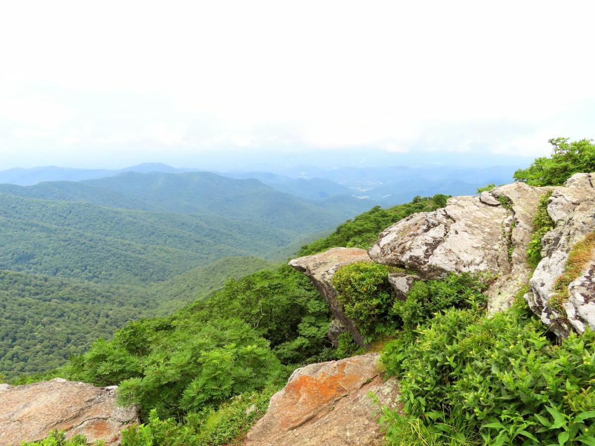 Treetops Cabin Easy To Asheville With Fast Wifi And Great View Swiss Exterior photo
