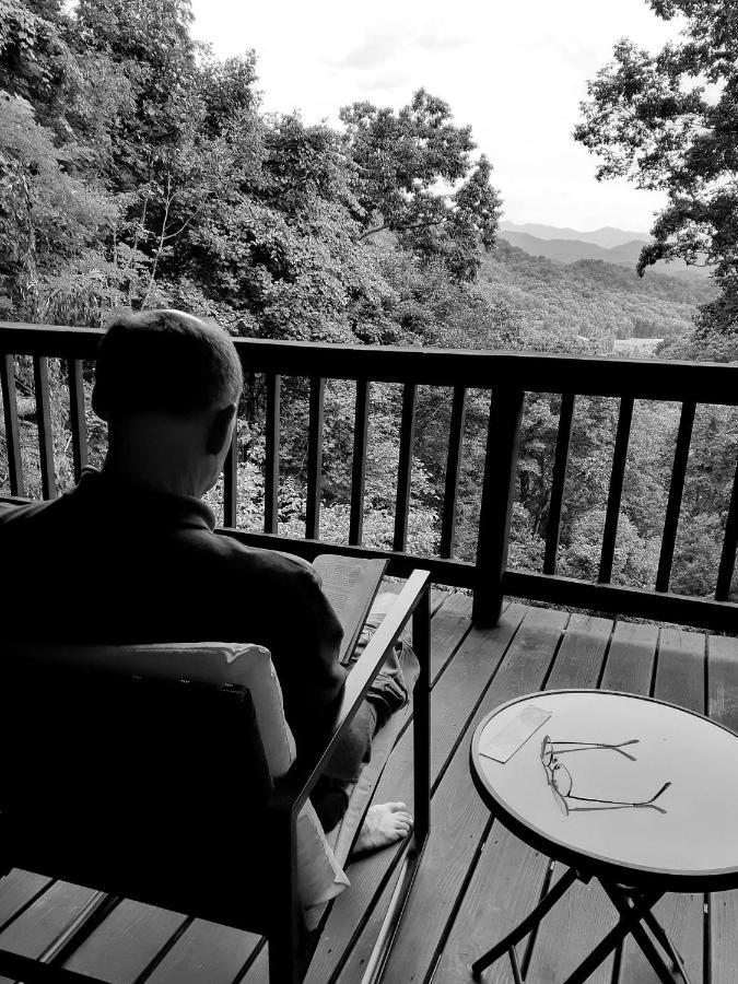 Treetops Cabin Easy To Asheville With Fast Wifi And Great View Swiss Exterior photo